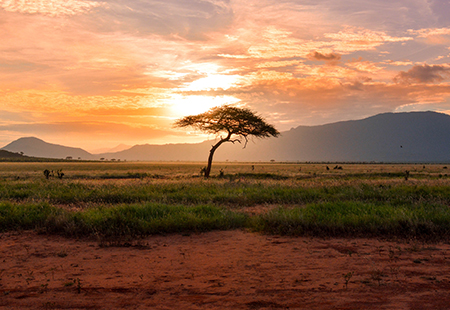 Header Asbestos Swouth Africa pano mobile