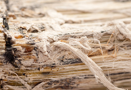 Header Asbestos Medieval World pano mobile