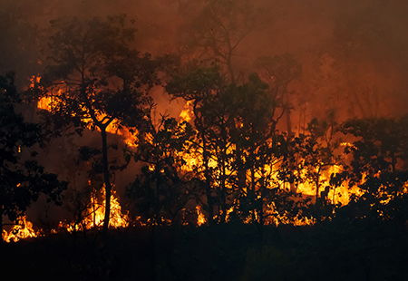 Header Asbestos Wildfire pano mobile