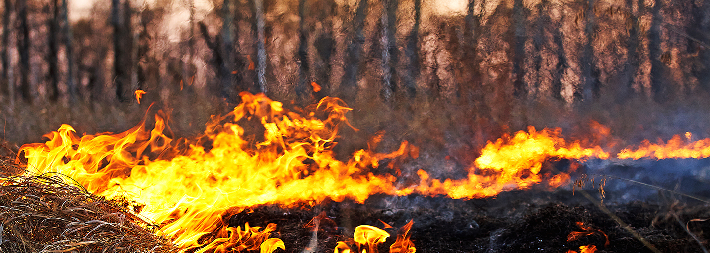 Image Asbestos Wildfire article body