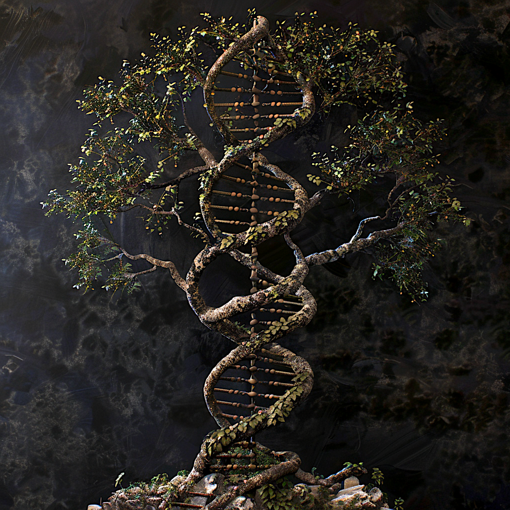 asbestos and lung cancer the role of genetics and environment sq